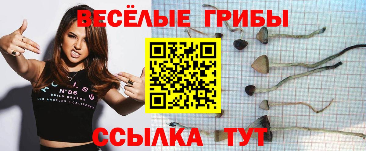 Галлюциногенные грибы MAGIC MUSHROOMS  Вход с VPN  Казань  дарнет шоп  Галлюциногенные грибы мухоморы 
